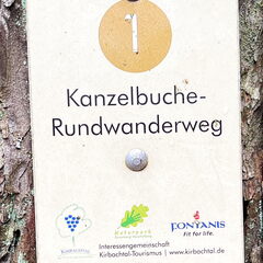 23-03-12 12-39-55 4781